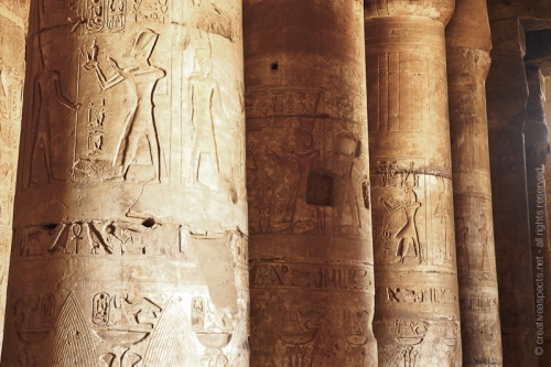 creativeaspects_portfolio_egypt_086