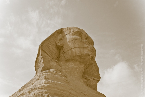 creativeaspects_portfolio_egypt_096