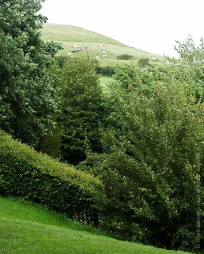 creativeaspects_portfolio_england_003