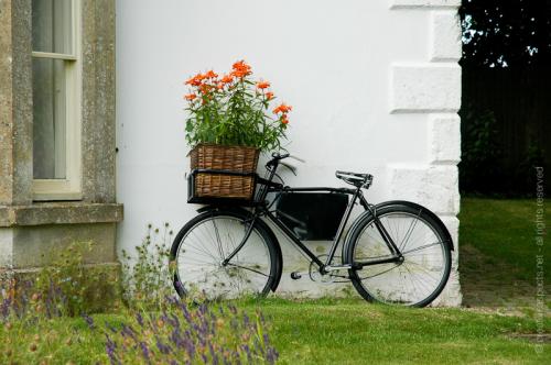 creativeaspects_portfolio_england_006