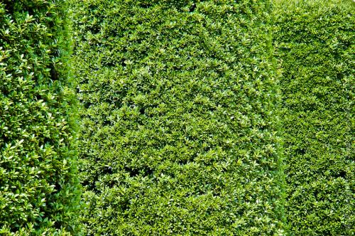 creativeaspects_portfolio_england_010