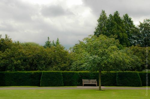 creativeaspects_portfolio_england_013