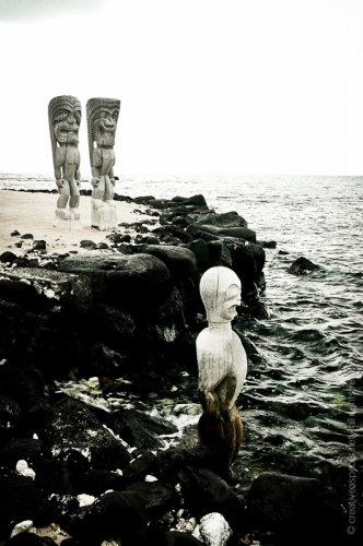 creativeaspects_portfolio_hawaii_003