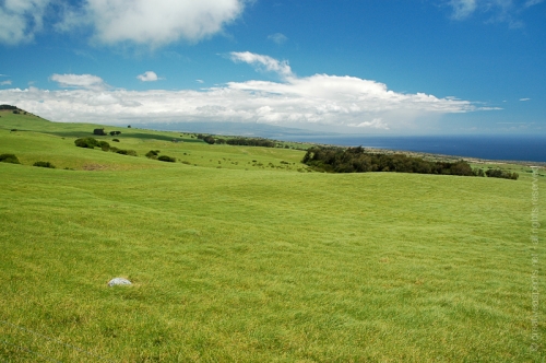 creativeaspects_portfolio_hawaii_009