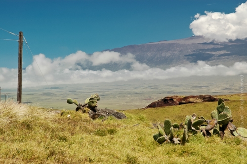 creativeaspects_portfolio_hawaii_010