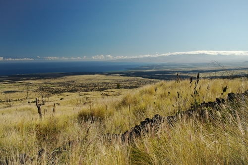 creativeaspects_portfolio_hawaii_011