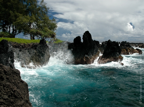 creativeaspects_portfolio_hawaii_012