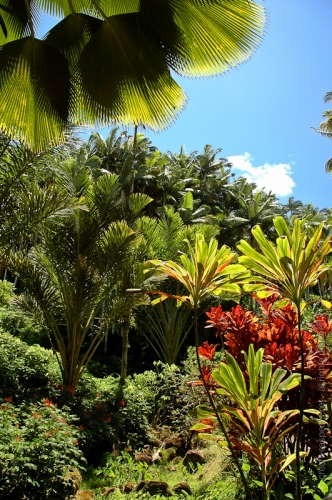 creativeaspects_portfolio_hawaii_013