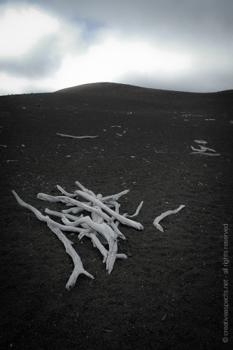 creativeaspects_portfolio_hawaii_020