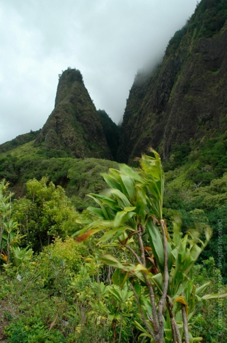 creativeaspects_portfolio_hawaii_023