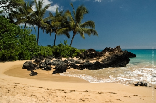 creativeaspects_portfolio_hawaii_024