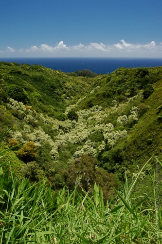 creativeaspects_portfolio_hawaii_029