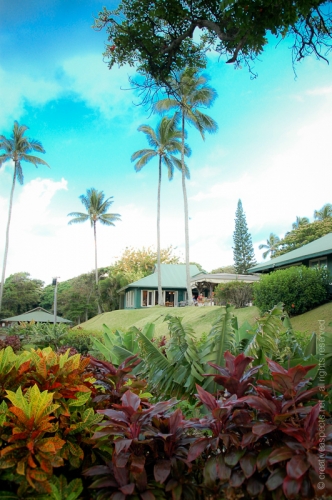 creativeaspects_portfolio_hawaii_030