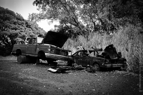 creativeaspects_portfolio_hawaii_032