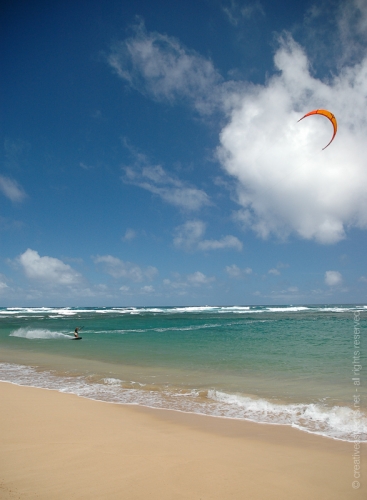 creativeaspects_portfolio_hawaii_033