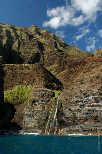 creativeaspects_portfolio_hawaii_036