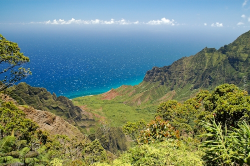 creativeaspects_portfolio_hawaii_038