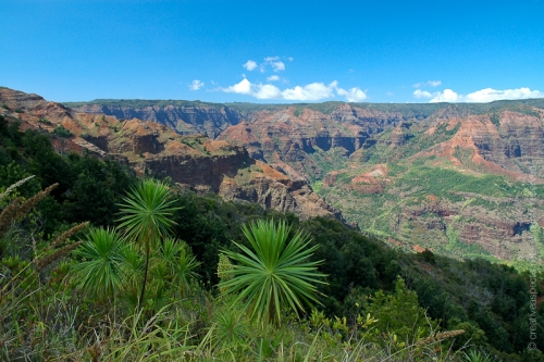 creativeaspects_portfolio_hawaii_039