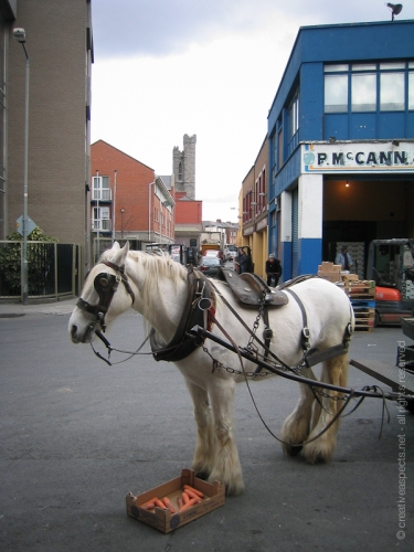 creativeaspects_portfolio_ireland_002