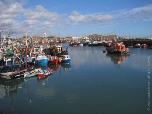 creativeaspects_portfolio_ireland_006