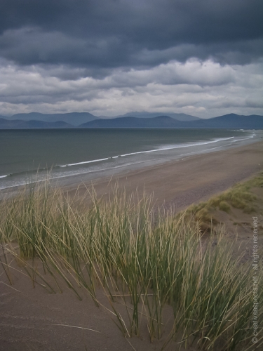 creativeaspects_portfolio_ireland_016