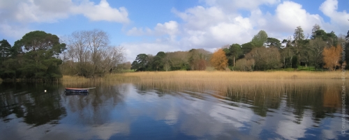 creativeaspects_portfolio_ireland_019