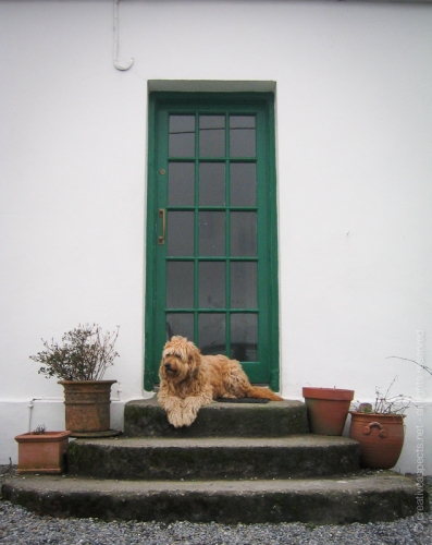 creativeaspects_portfolio_ireland_020