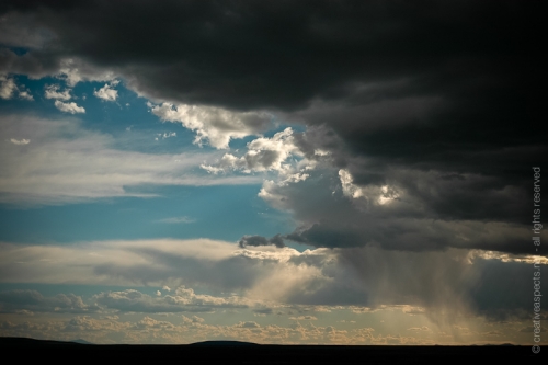 creativeaspects_portfolio_newmexico_017