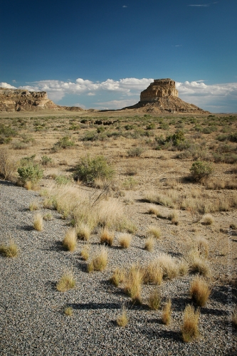 creativeaspects_portfolio_newmexico_037