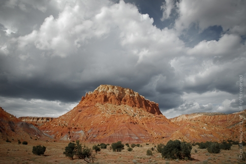 creativeaspects_portfolio_newmexico_040