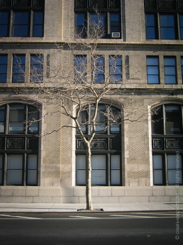 creativeaspects_portfolio_nyc_003