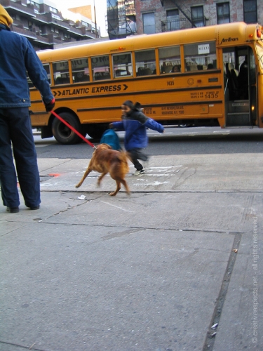 creativeaspects_portfolio_nyc_014