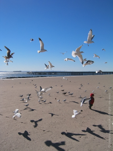 creativeaspects_portfolio_nyc_030