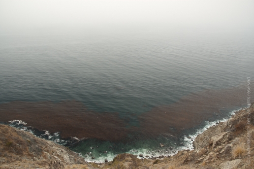 creativeaspects_portfolio_sea_008