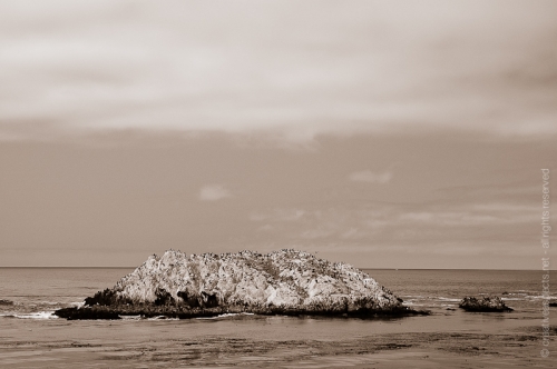 creativeaspects_portfolio_sea_011