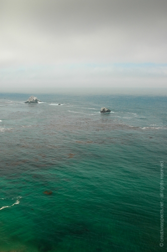 creativeaspects_portfolio_sea_012