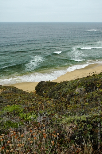 creativeaspects_portfolio_sea_013