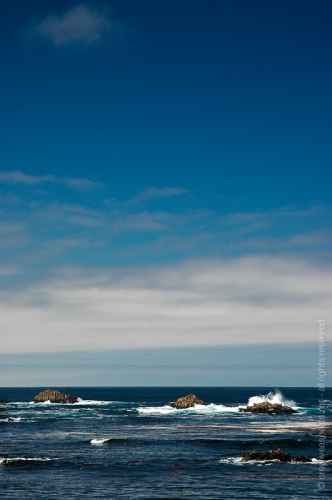 creativeaspects_portfolio_sea_014