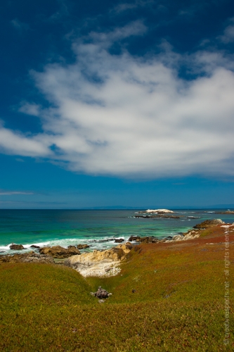 creativeaspects_portfolio_sea_015