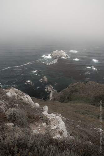 creativeaspects_portfolio_sea_016