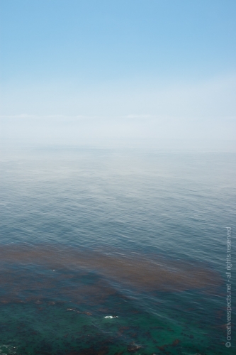 creativeaspects_portfolio_sea_017