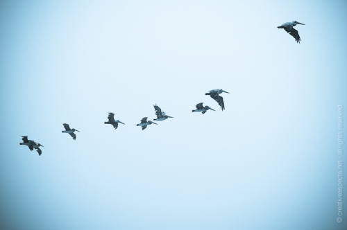 creativeaspects_portfolio_sea_022