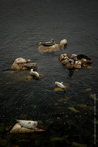 creativeaspects_portfolio_sea_023