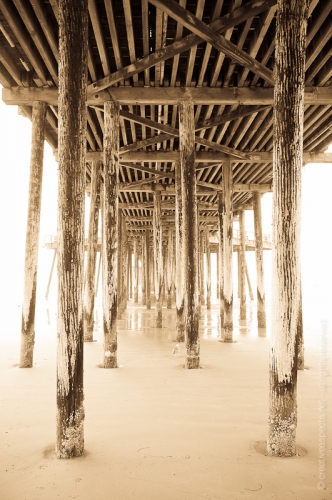 creativeaspects_portfolio_sea_024