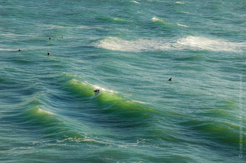 creativeaspects_portfolio_sea_027