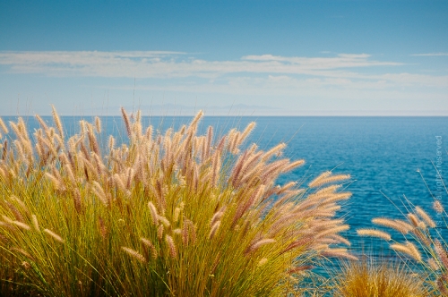 creativeaspects_portfolio_sea_030