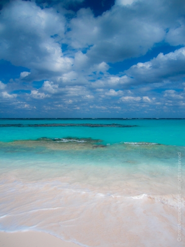 creativeaspects_portfolio_sea_032