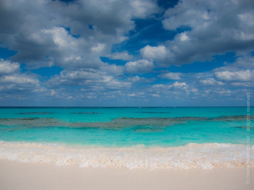 creativeaspects_portfolio_sea_033