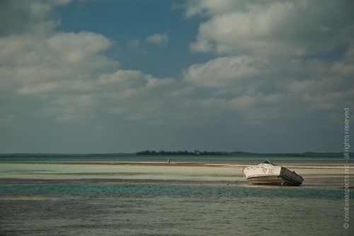 creativeaspects_portfolio_sea_036