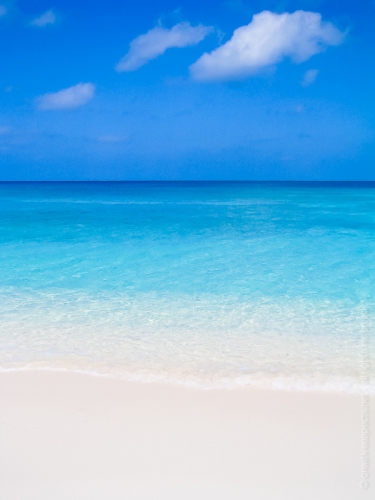 creativeaspects_portfolio_sea_040